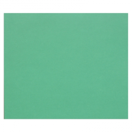Цветная бумага 500*650мм., Clairefontaine "Tulipe", 25л., 160г/м2, темно-зеленый, легкое зерно