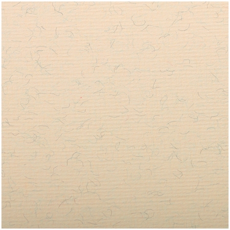 Бумага для пастели 25л. 500*650мм Clairefontaine "Ingres", 130г/м2, верже, хлопок, мраморный крем
