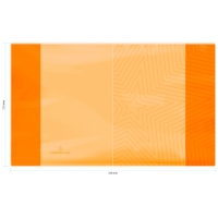 Обложка 210*350, для дневников и тетрадей, Greenwich Line, ПВХ 180мкм, "Neon Star", оранжевый, ШК